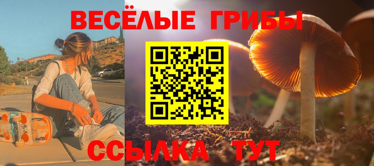 Псилоцибиновые грибы мицелий  Вход с VPN  где купить наркоту  Лысьва 