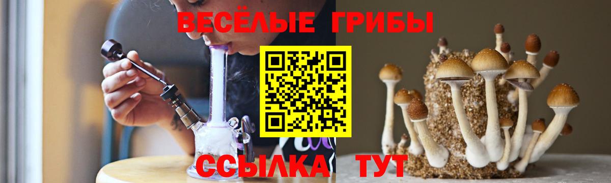 Галлюциногенные грибы Cubensis Лысьва